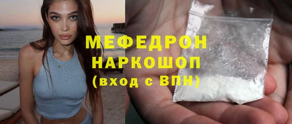 индика Инта