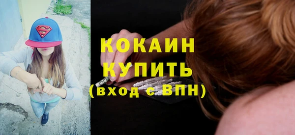 индика Инта