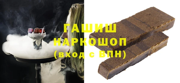 индика Инта