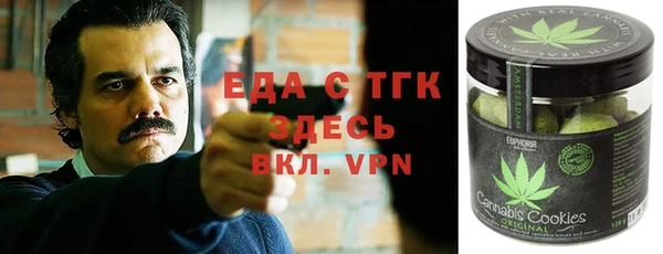 индика Инта