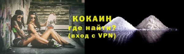 индика Инта