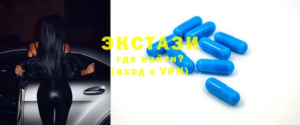 индика Инта