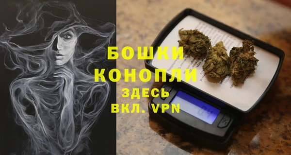индика Инта