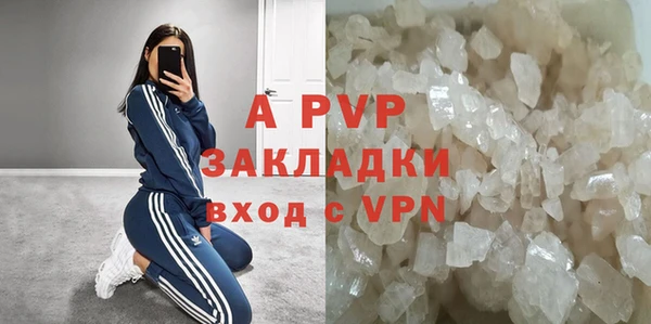 индика Инта