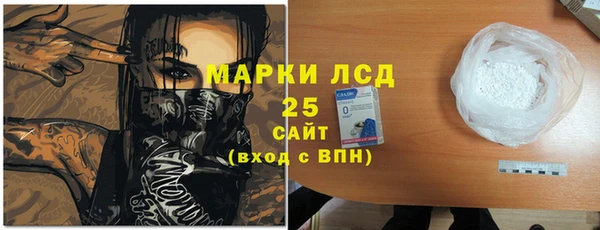 гашик Инсар