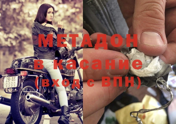 индика Инта