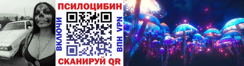 Купить  Новоржев  Псилоцибиновые грибы Psilocybe 